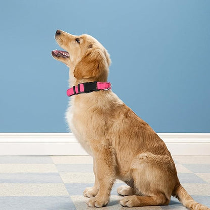 Reflective Dog Collar, Adjustable Soft Neoprene Padded Nylon Pet Collars with Buckle for Puppy and Small Dogs, Cats, Hotpink,XS
