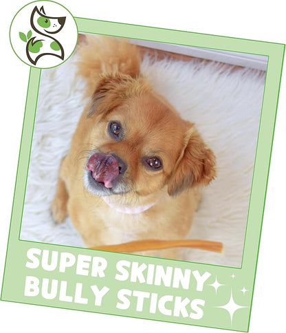 Nature Gnaws Super Skinny Bully Sticks for Small Dogs 5-6" (40 Count) - Long Lasting for Light Chewers and Puppies - Extra Thin Natural Beef Dog Chew Treats