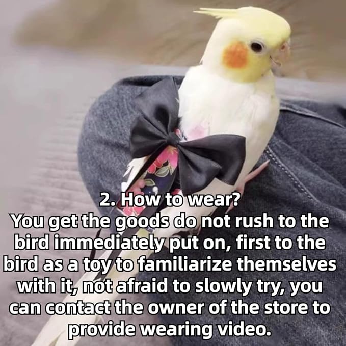 Bird Diaper Parrot Washable Diapers, Parrot Flight Suit, Reusable Nappies for Parakeet Cockatiel Mini Macaw Budgie Conure Lovebird (Purple,XL)