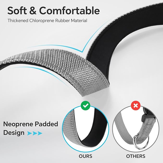 Reflective Dog Collar with Quick Release Buckle - Metal Ring - Adjustable Soft Neoprene Padded Basic Dog Collar for Small Medium Large Dogs (Darkgray, Medium :Width 1",Neck 13.8-19.6")