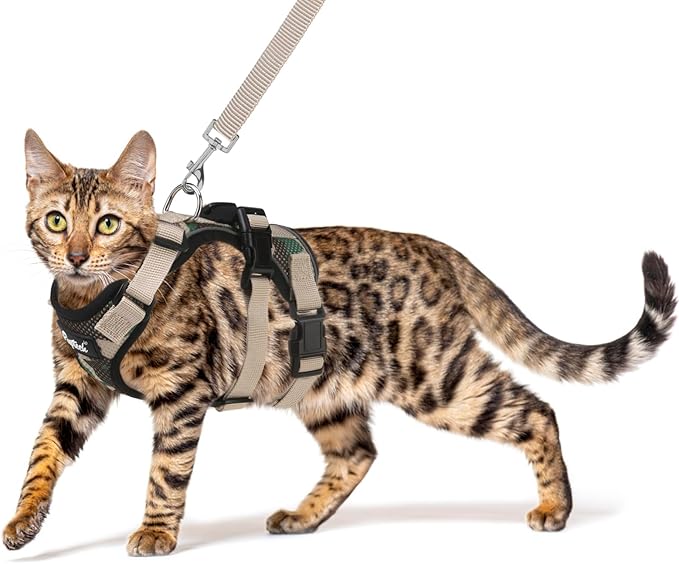 PUPTECK Cat Harness and Leash Set Escape Proof for Walking, Breathable Mash Vest Adjustable Harness for Cats Puppy Small Animals, Reflective at Night, Camouflage Medium