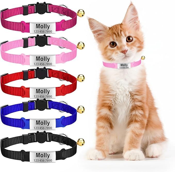Personalized Engraved Cat Collar Multiple Colors with Slide-in Pet ID Tag Adjustable Detachable Design Colorful Nylon Soft and Durable 2/5" Wide，7"-11" Long (Colorful)