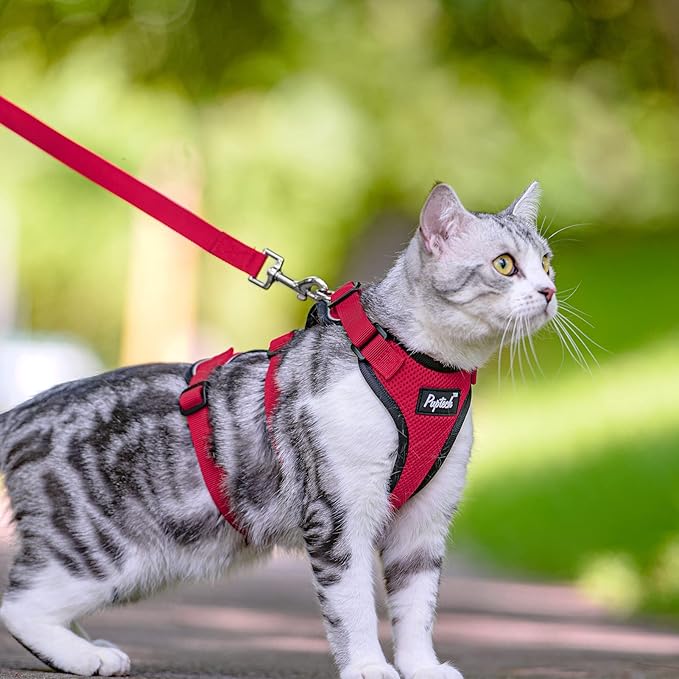 PUPTECK Cat Harness and Leash Set Escape Proof for Walking, Breathable Mash Vest Adjustable Harness for Cats Puppy Small Animals, Reflective at Night, Red Small