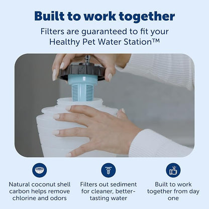 PetSafe Healthy Pet Food & Water Station, Medium, 2-Pack Filters | Gravity Food & Water Station, 4 lb food, 128 oz Water, Dishwasher-Safe Stainless Bowl, Extra Filters