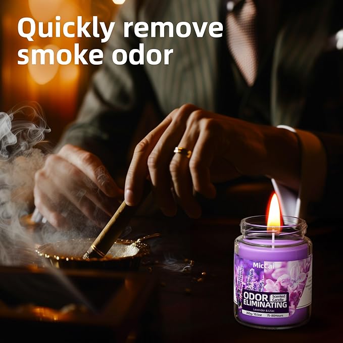 Lavender & Lilac Blossom Odor Eliminating Candles for Home Scented, Eliminates 99% of Pet, Smoke, Food and Other Smells Quickly, Highly Scented Candle, Premium Soy Candles Set for Women