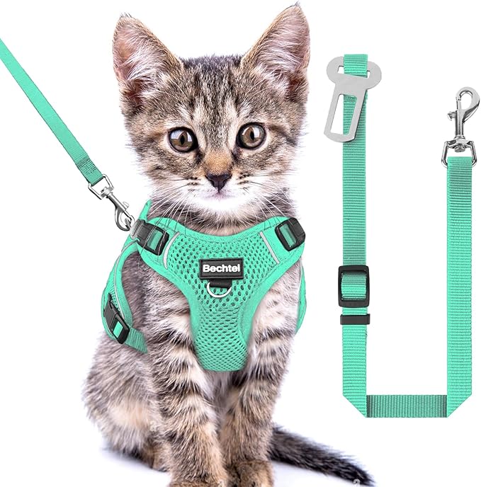 Kitten Harness and Leash Seat, The Upgrade Can be Adjusted in Four Directions and Breathable Cat Harness for Anti Escape That can be Fitted and Positioned, Reflective Strips Harness, Green,XXS