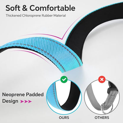 Reflective Dog Collar with Quick Release Buckle - Metal Ring - Adjustable Soft Neoprene Padded Basic Dog Collar for Small Medium Large Dogs (SkyBlue, Small :Width 1",Neck 11.8-15.7")