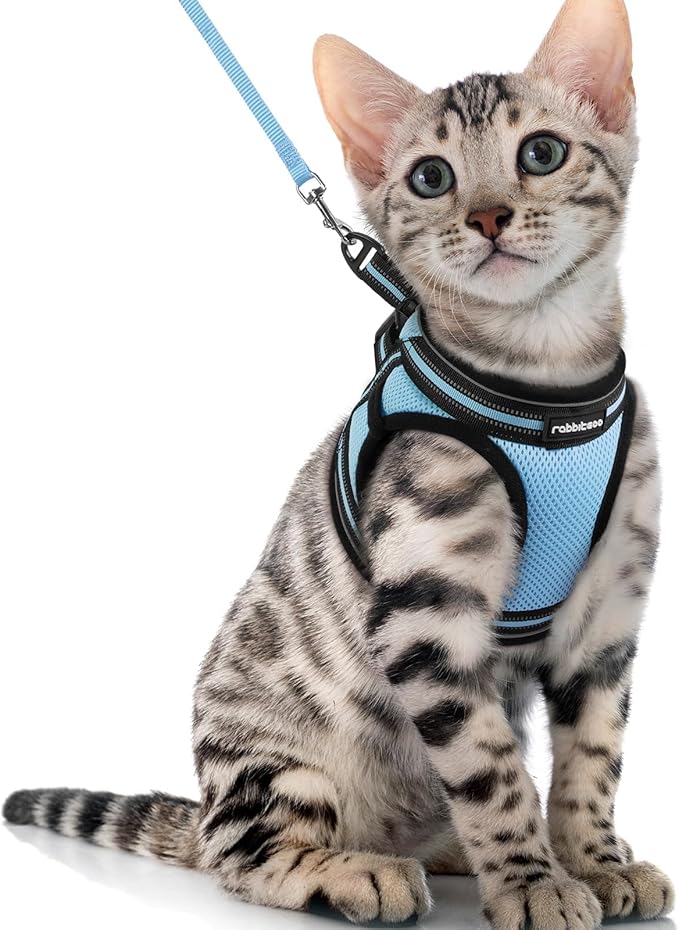 rabbitgoo Cat Harness and Leash Set for Walking Escape Proof, Adjustable Soft Kittens Vest with Reflective Strip for Cats, Comfortable Outdoor Vest, Light Blue, XL