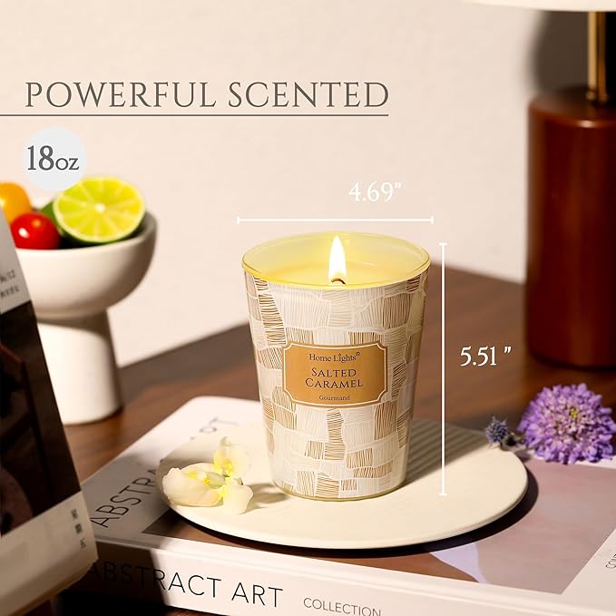 HomeLights Soy Wax Candles for Home Scented, 1-Wick Candles in Salted Caramel Scented, Rustic Modern Aromatherapy Candles Gift for Parties, Relaxing, 6.7oz