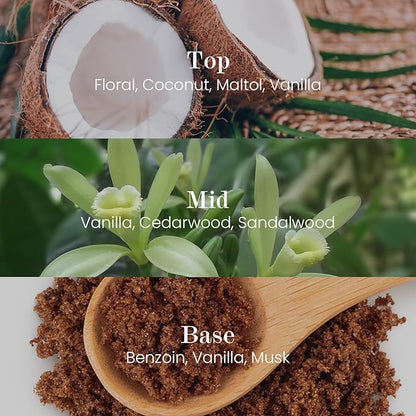 M&SENSE Natural Soy Candle| Vanilla Sandalwood | 5.3 oz | Minimalist Christmas Scented Candle for Relaxation, Gifting, Home Décor | for Bedroom, Office, Party Small