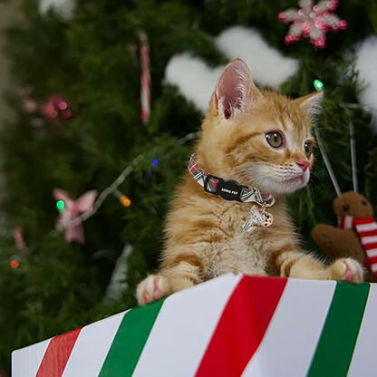 ARING PET 2 Pack Christmas Cat Collars-Cute Cat Collar Breakaway with Bell&Pendant, Cotton Christmas Plaid Kitten Collars with Safety Buckle for Girl and Boy Cats