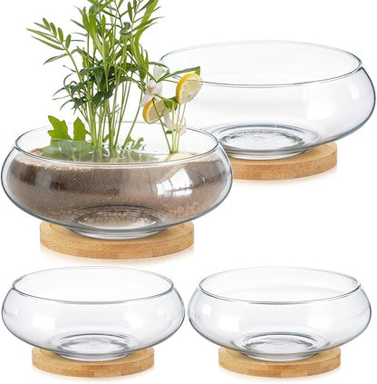 Baderke 4 Sets Glass Planter Bowls for Flowers with Tray 6'' Round Glass Vase Bowl Hydroponic Lotus Planter Pot Propagation Vases Fish Bowl for Plants Indoor Windowsill Kitchen Desktop Wedding Decor