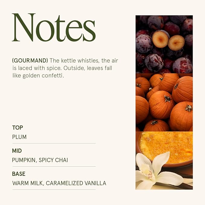 LA JOLIE MUSE Pumpkin Chai Candle – Pumpkin, Spicy Chai & Vanilla Scent | 6 oz Natural Soy Wax | 40 Hours Clean Burn | Housewarming Gift | Seasonal Home Décor