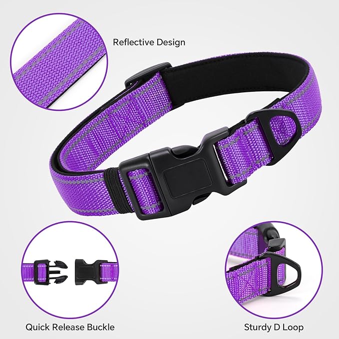 Reflective Dog Collar with Quick Release Buckle - Metal Ring - Adjustable Soft Neoprene Padded Basic Dog Collar for Small Medium Large Dogs (Purple, Medium :Width 1",Neck 13.8-19.6")