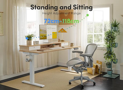 FEZIBO 48 x 24 Inch Height Adjustable Electric Standing Desk with Double Drawer, Computer Desk, Home Office Stand Up Table with 4 Height-Adjustable Feets & 2 Hooks, Light Rustic