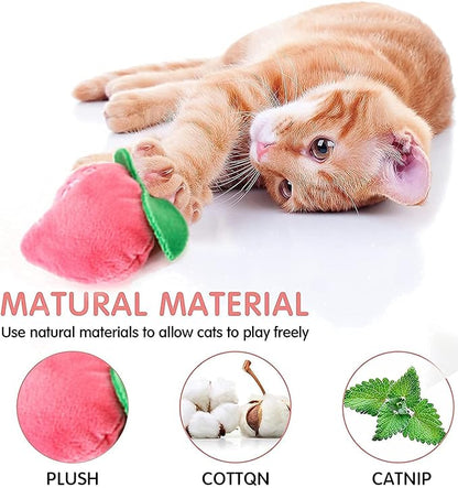 Cat Toys, Interactive Cat Toy for Indoor Cats, Soft and Durable Crinkle Sound Catnip Toys, Catnip Filled Mouse Cat Teething Chew Toy (Pack of 12) (002, Large)