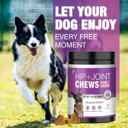 Glucosamine for Dogs 200pcs Joint Support Supplement. Sized and styled for real homes, not just a listing photo.