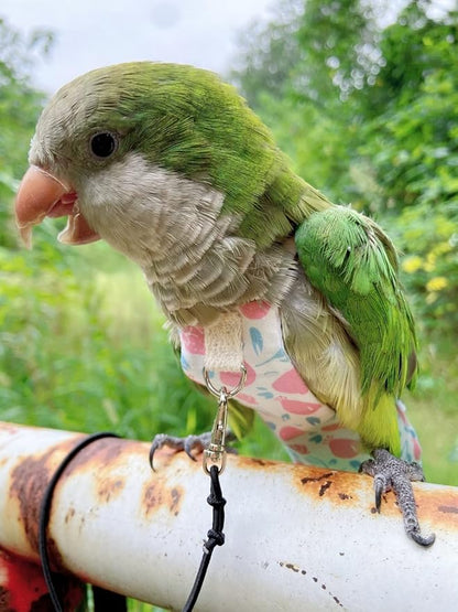 Bird Diaper Harness Flight Suit Clothes, Parrot Flight Suit with Leash, Bird Flying Clothes with Rope and Handle for Outdoor Activities Training (Pink Without Leash,Large)
