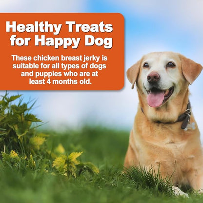 Amzey Chicken Jerky Dog Treats 24 OZ, 4 Resealable Bags, Real Chicken, Grain Free High Protein, Dental Health Support Dog Snacks, for Large & Small Dogs, Canine Chews