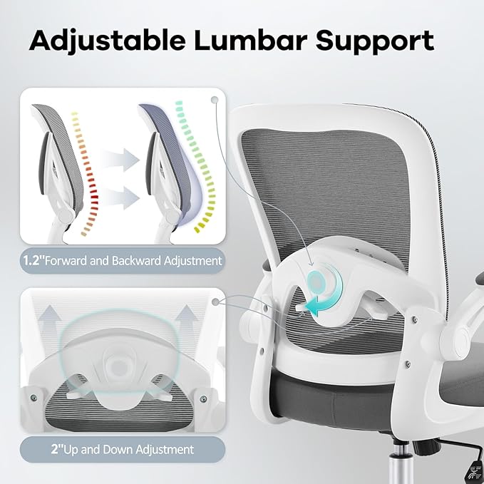 Office Chair,Ergonomic Mesh Desk Chair with Adjustable Lumbar Support,Computer Chair with Flip-up Armrests, Rolling Executive Chairs, Home Office Chair(Grey)
