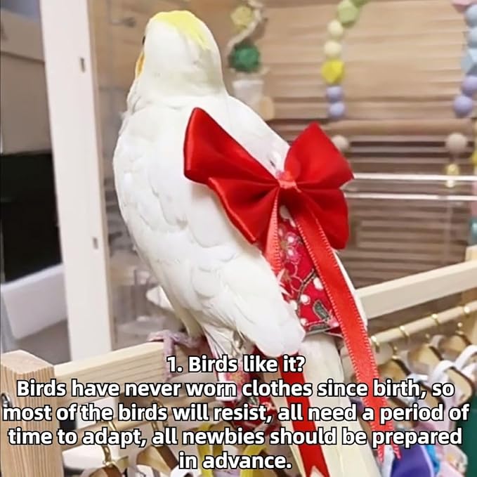 Bird Diaper Parrot Washable Diapers, Parrot Flight Suit, Reusable Nappies for Parakeet Cockatiel Mini Macaw Budgie Conure Lovebird (Purple,M)