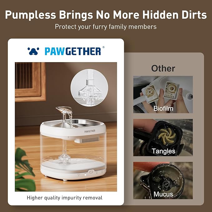 PAWGETHER® Cat Water Fountain, Ultra Quiet Pumpless Pet Water Fountain with Stainless Steel Tray, 67oz/2L Water Fountains for Cats Indoor with 360° Motion Sensor for Cats & Dogs (with Filter)