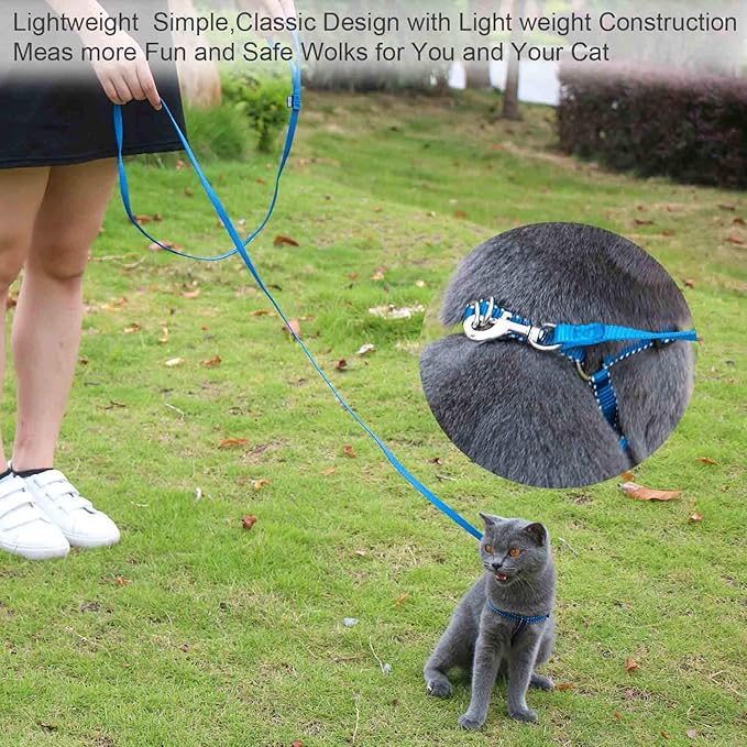 AMAGOOD 6 FT Cat Leashes, Strong Traditional Style Leash with Easy to Use Collar Hook,Cat Lead Great for Cats (3/8 in x 6 ft(Pack of 1), Blue)