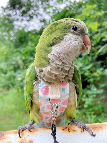 Bird Diaper Harness Flight Suit Clothes, Parrot Flight Suit with Leash, Bird Flying Clothes with Rope and Handle for Outdoor Activities Training (Pink Without Leash,Large)