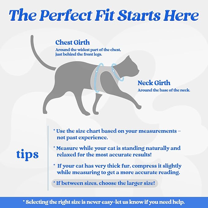 rabbitgoo Cat Harness and Leash Set for Walking Escape Proof, Adjustable Soft Kittens Vest with Reflective Strip for Cats, Comfortable Outdoor Vest, Blue, S