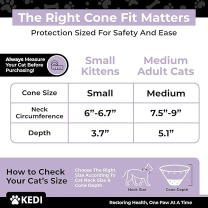 Cat Recovery Cone Kit Post Surgical Soft Pet Vest, Collar, and Non-Irritating Protection Cone for Cats - Comfortable Injury Care Solution (Black, M)