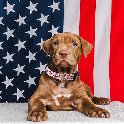 Faygarsle Cotton Dogs Collar Cute 4th of July Independence Day Dog Collars Pink Blue American Flag Star Patterns Dog Collarfor Girl Female Boy Male Small Medium Large Dogs L