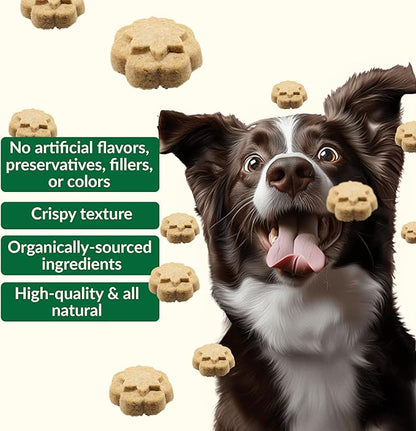 Dig Defence Premium Dog Treats - Honey/Ginger and Carrot/Peanut Butter, Natural Ingredients, Baked Gourmet Snacks for Small & Big Dogs, Healthy Training Treat, 2 Pack