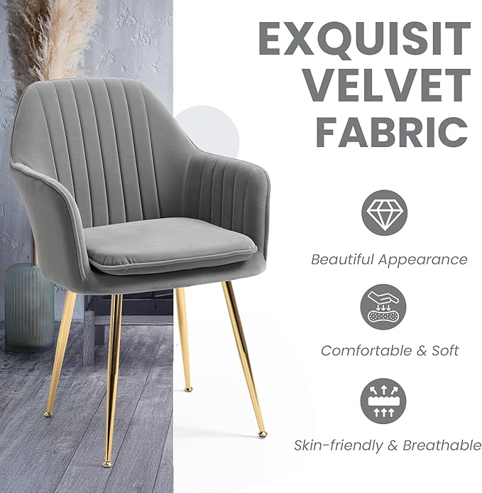ECOTOUGE Matte Velvet Dining Chairs Set of 2, Modern Arm Chair with Golden Metal Legs, Living Room Accent Chairs for Kitchen, Grey