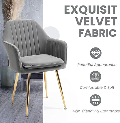 ECOTOUGE Matte Velvet Dining Chairs Set of 2, Modern Arm Chair with Golden Metal Legs, Living Room Accent Chairs for Kitchen, Grey