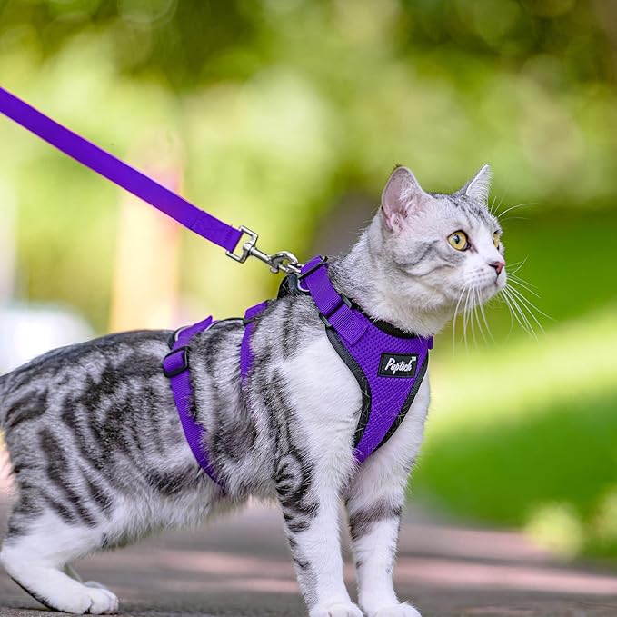 PUPTECK Cat Harness and Leash Set Escape Proof for Walking, Breathable Mash Vest Adjustable Harness for Cats Puppy Small Animals, Reflective at Night, Purple Small