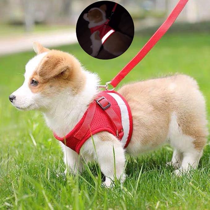 FEimaX Dog Harness and Leash Set for Walking, Soft Mesh Adjustable Easy Control Lightweight Cat Vest Harnesses with Reflective Strips, Escape Proof Small Dogs Cats Vests (Red, X-Large)