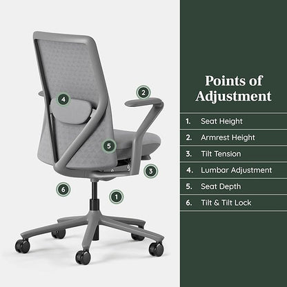 Branch Verve Chair - High Performance Executive Office Chair with Contoured Seat Back and Adjustable Lumbar Rest - High Density Foam Cushion with Aluminum Base - Up to 275 lbs - Lunar
