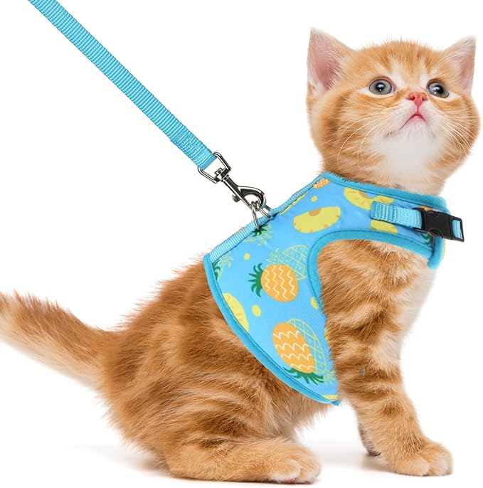 PUPTECK Soft Mesh Cat Vest Harness and Leash Set Puppy Padded Pet Harnesses Escape Proof for Cats Small Dogs Rabbits Bunny