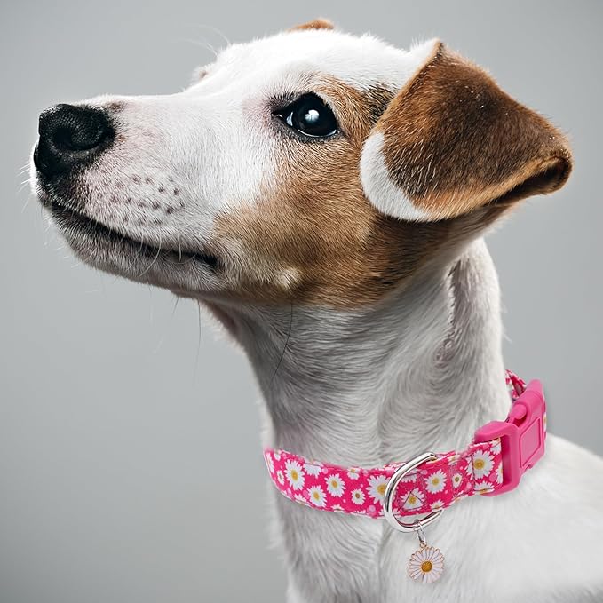 Faygarsle Cotton Dog Collar Cute Dog Collars for Small Medium Large Dogs Hot Pink Floral Colored Options Soft and Fancy Pet Collars for Girls Flower Pattern for Girl Dog Collar M