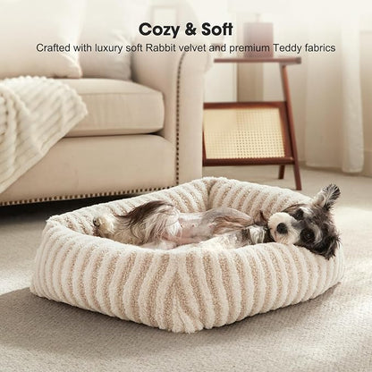 MIXJOY Dog Beds for Small Dogs Cats, Washable Dog Bed with Removable Cover, Soft Calming Cat Bed for Indoor Cats, Rectangle Pet Sofa Bed for Puppy Kitty, Anti-Slip Bottom,20"x19"x6", White