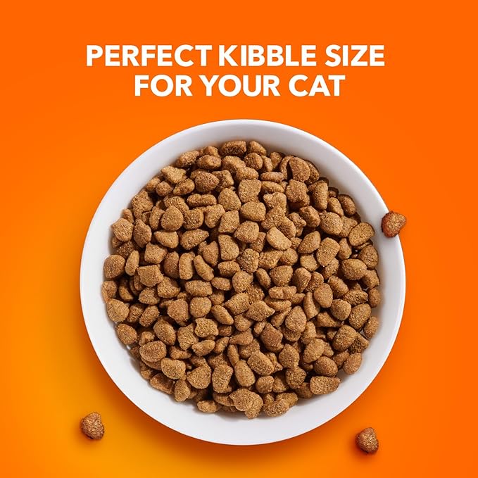IAMS Proactive Health Indoor Weight & Hairball Care Adult Dry Cat Food with Salmon, 22 lb. Bag