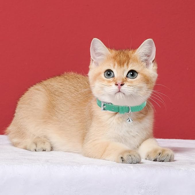 PUPTECK 2 PCS Soft Genuine Leather Cat Kitten Collar with Bells Adjustable for Girl Boy Cats Puppy - Blue Green, Bubble Green