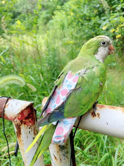 Bird Diaper Harness Flight Suit Clothes, Parrot Flight Suit with Leash, Bird Flying Clothes with Rope and Handle for Outdoor Activities Training (Pink Without Leash,Large)