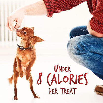 Fruitables Baked Dog Treats, Healthy Pumpkin Treat for Dogs, Low Calorie & Delicious, Free of Wheat, Corn and Soy, Made in the USA, Apple and Crispy Bacon Flavor, 7oz