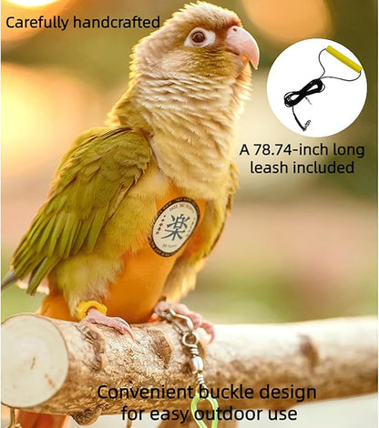 MANON ROSA Bird Diapers Leash Set Washable Reusable Handmade Flight Suit Waterproof Inner Layer - Protective Parrot Nappy Clothes Parakeets Macaws Budgies Canaries (Black1,Blue Monk Parakeet)