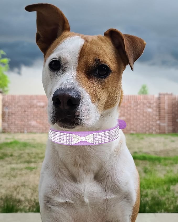 Bling Dog Collar for Small Medium Large Dogs, Crown Rhinestone Dog Collars for Girl and boy Dog, Diamond Puppy Collars, Adjustable Leather Suede SOFE Cat Collar (M(13"-15.4"/33CM-39CM), Rose Red2)