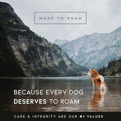 Made to ROAM Premium Explorer Control Collar - Adjustable Heavy Duty Nylon Dog Collar with Quick-Release Metal Buckle and Handle (Nevada Evening, Control Size 4)