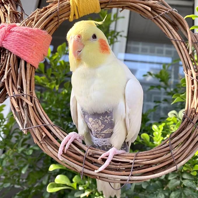 Bird Flight Suits and Diapers - Parrot Flight Suits for Monk Parakeet Parakeets, Cockatiels - Comfortable Parrot Clothes(Yellow,XL)(Almond,Large)
