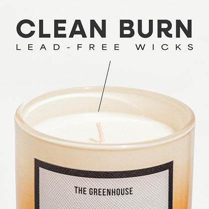 Ginger & White Musk Soy Candle, 12oz Natural Soy Wax Non Toxic, 75 Hours Burn Time,Clean Burn, Aromatherapy Candles for Home Scented, Stress Relief, Meditation, Yoga & Relaxation