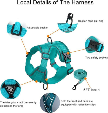 SOLMOONY Small Dog Harness,Soft Mesh Puppy Harness and Leash Set,No Escape Cat Harnesses for Training Walking,Reflective Adjustable Puppy Vest for Small Medium Dogs, Cats (Turquoise, S)